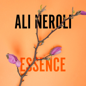 欧美精品久久久亚洲
